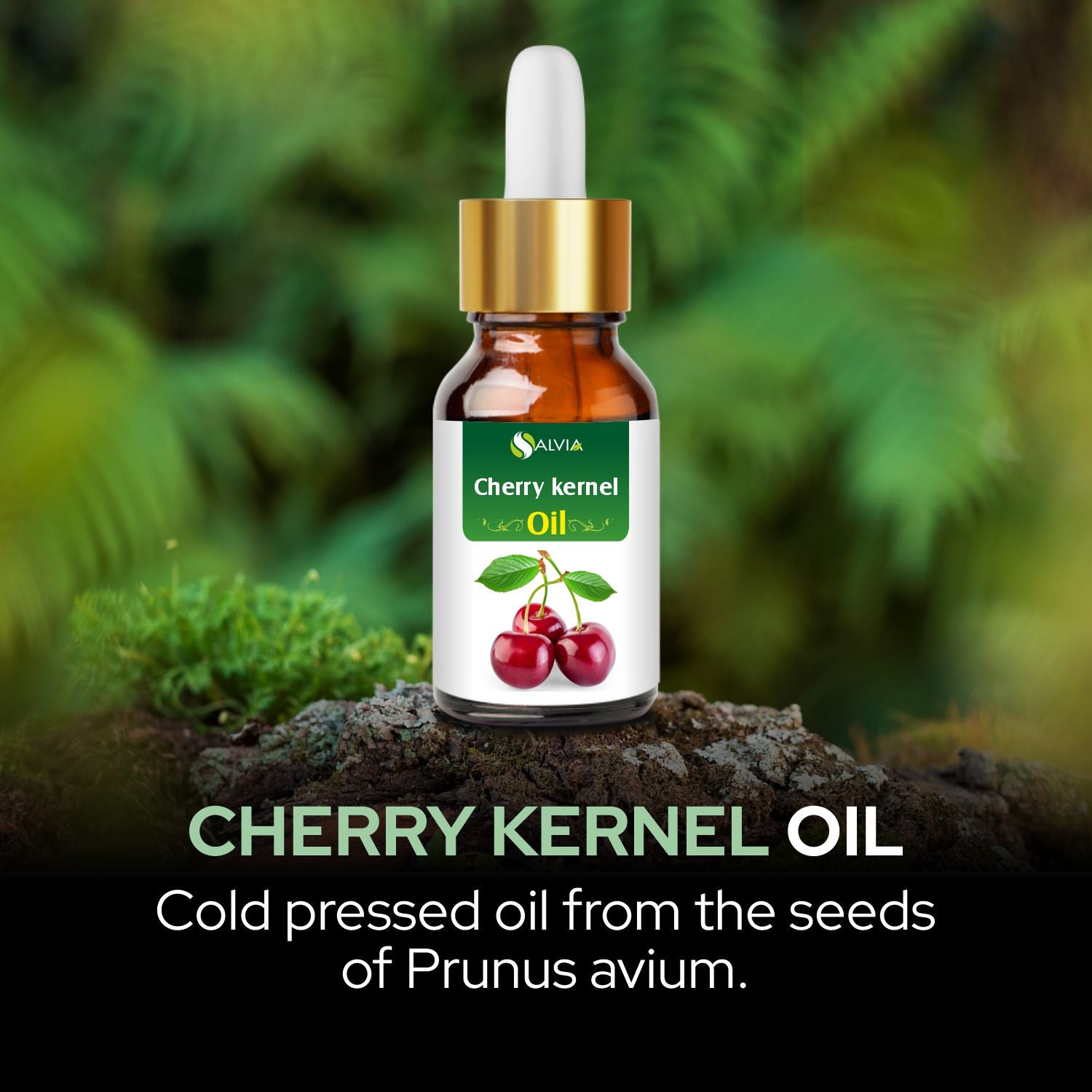 Salvia Natural Essential Oils,Dandruff,Greasy Oil,Anti Fungal,Anti-fungal Oil,Oil for Greasy Hair Cherry Kernel Oil Salvia Natural Essential Oils,Dandruff,Greasy Oil,Anti Fungal,Anti-fungal Oil,Oil for Greasy Hair Cherry Kernel Oil